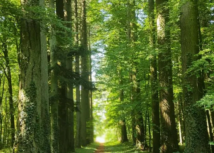 Les Plaisirs De La Ruralité Alloggio in famiglia Vendresse